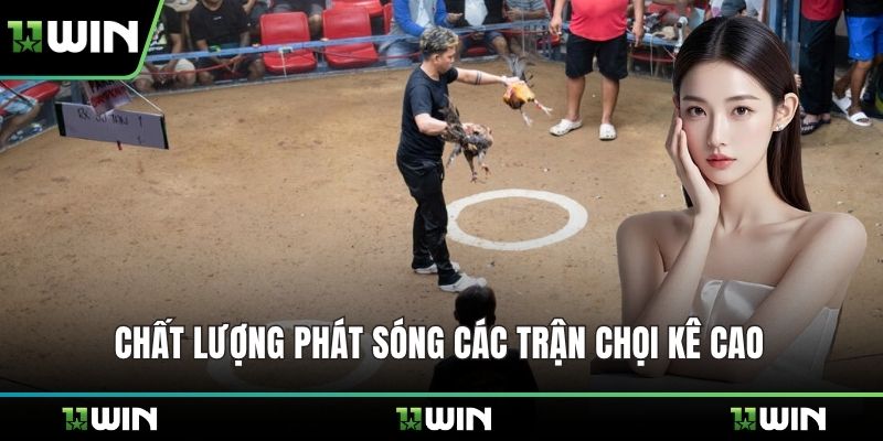 Chất lượng phát sóng các trận chọi kê cao