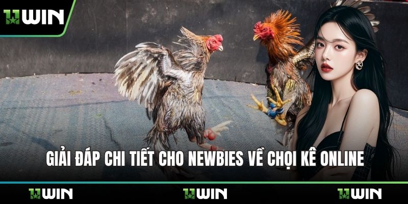 Giải đáp chi tiết cho newbies về chọi kê online