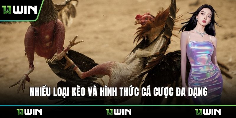 Nhiều loại kèo và hình thức cá cược đa dạng