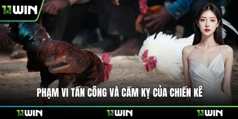 Phạm vi tấn công và cấm kỵ của chiến kê