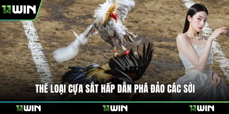 Thể loại cựa sắt hấp dẫn phá đảo các sới