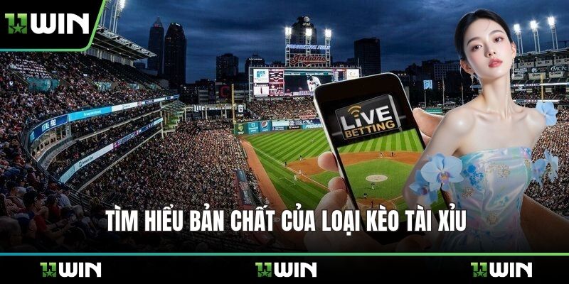 Tìm hiểu về tỷ lệ hai trái rưỡi