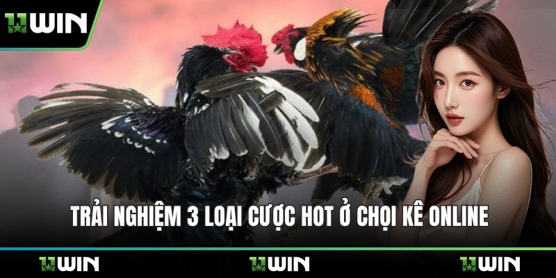 Trải nghiệm 3 loại cược hot ở chọi kê online