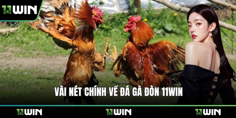 Vài nét chính về đá gà đòn 11WIN